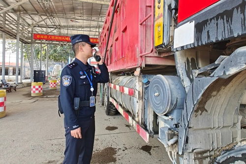 瑞麗口岸2025年進出口貨物通關(guān)量突破136萬噸 展現(xiàn)邊境貿(mào)易新活力